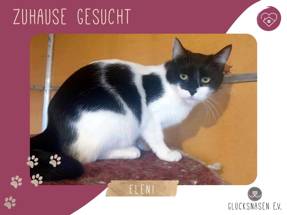 Eleni braucht etwas Zeit