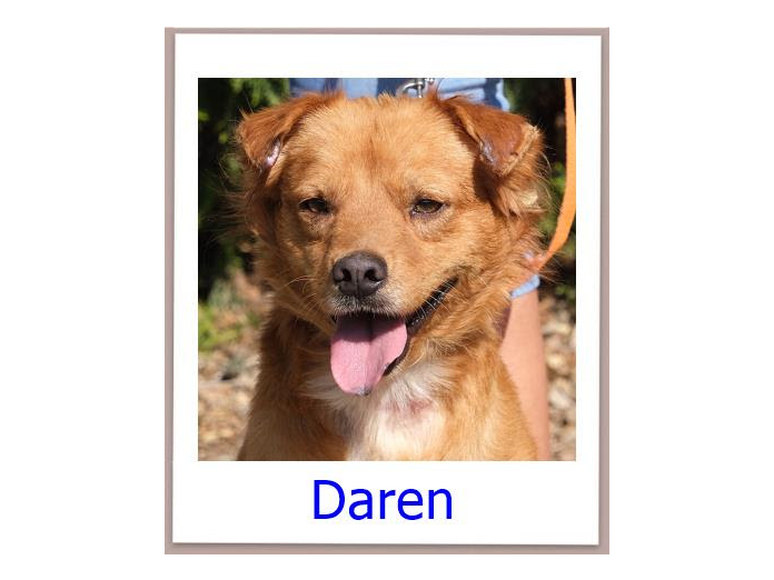 Daren