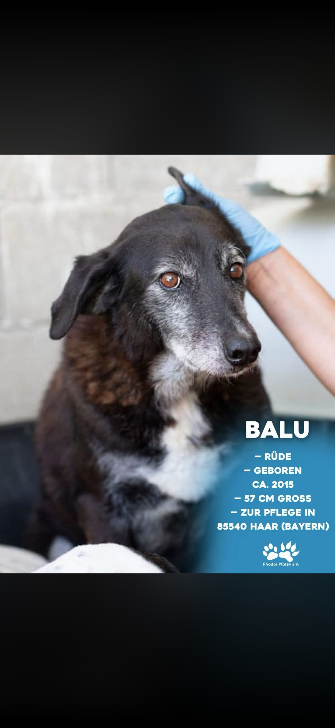 Balu