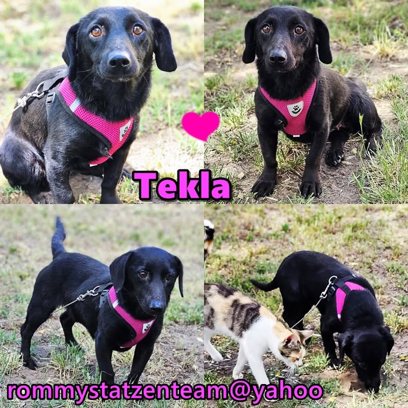 Tekla
