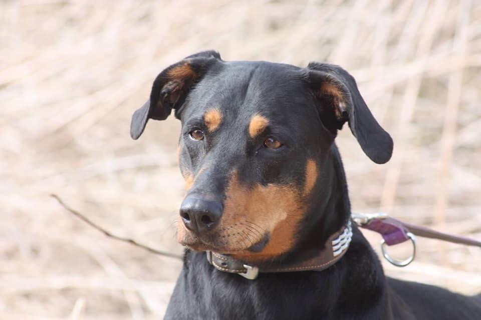 Kontaktbild von E. Kraus J. Hund