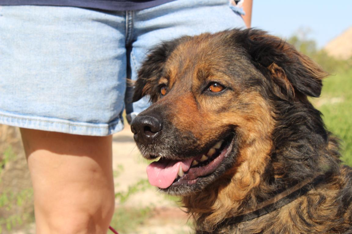 Duquesa