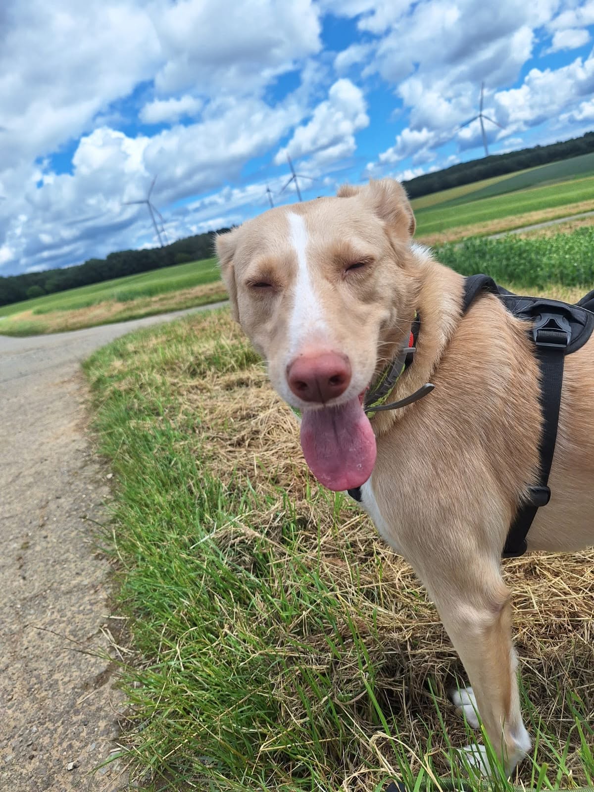 Cream ❤️ - sucht aus 55483