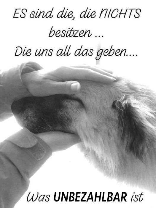 Unterstützung gesucht