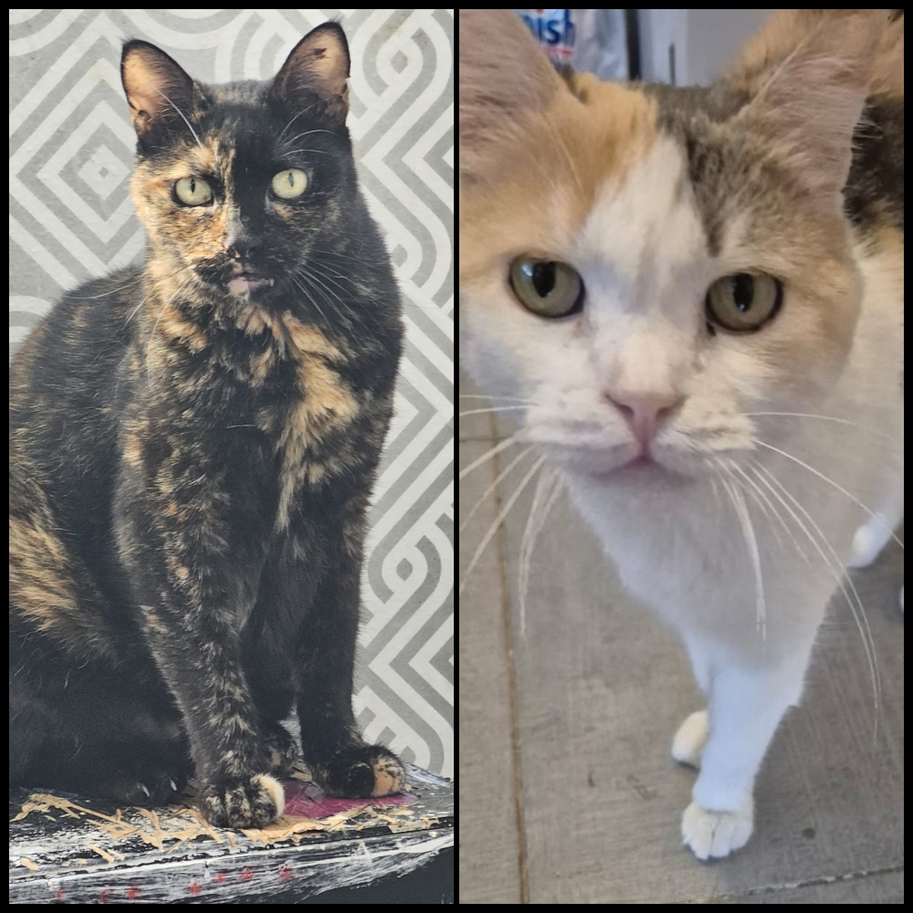 Perla und Karla