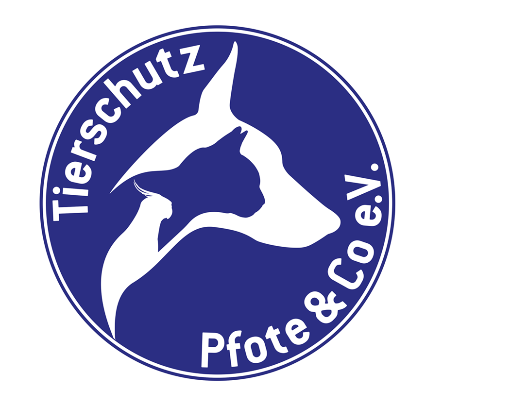 Tierschutz Pfote & Co e.V.