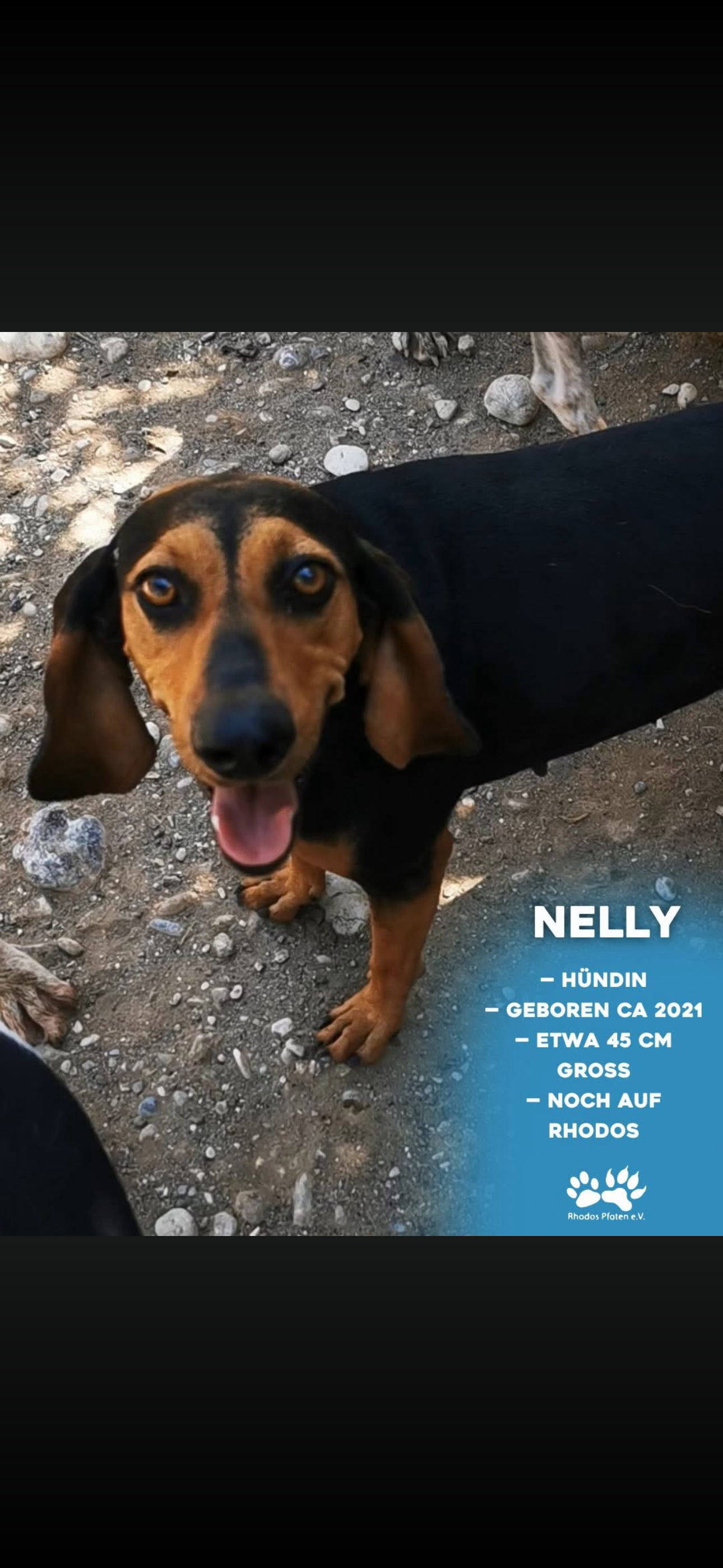 Nelly