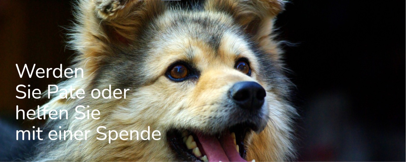 Kontaktbild von - -