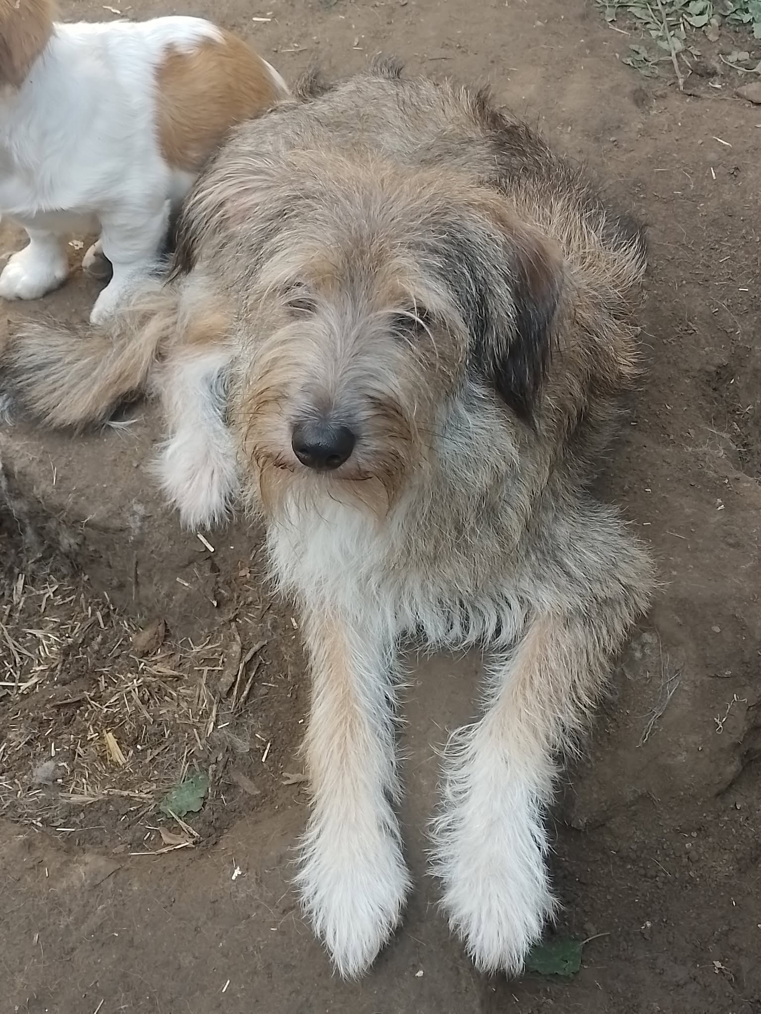 NALA
