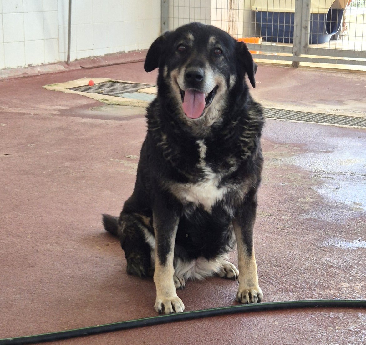 Liza, unsere Seniorin