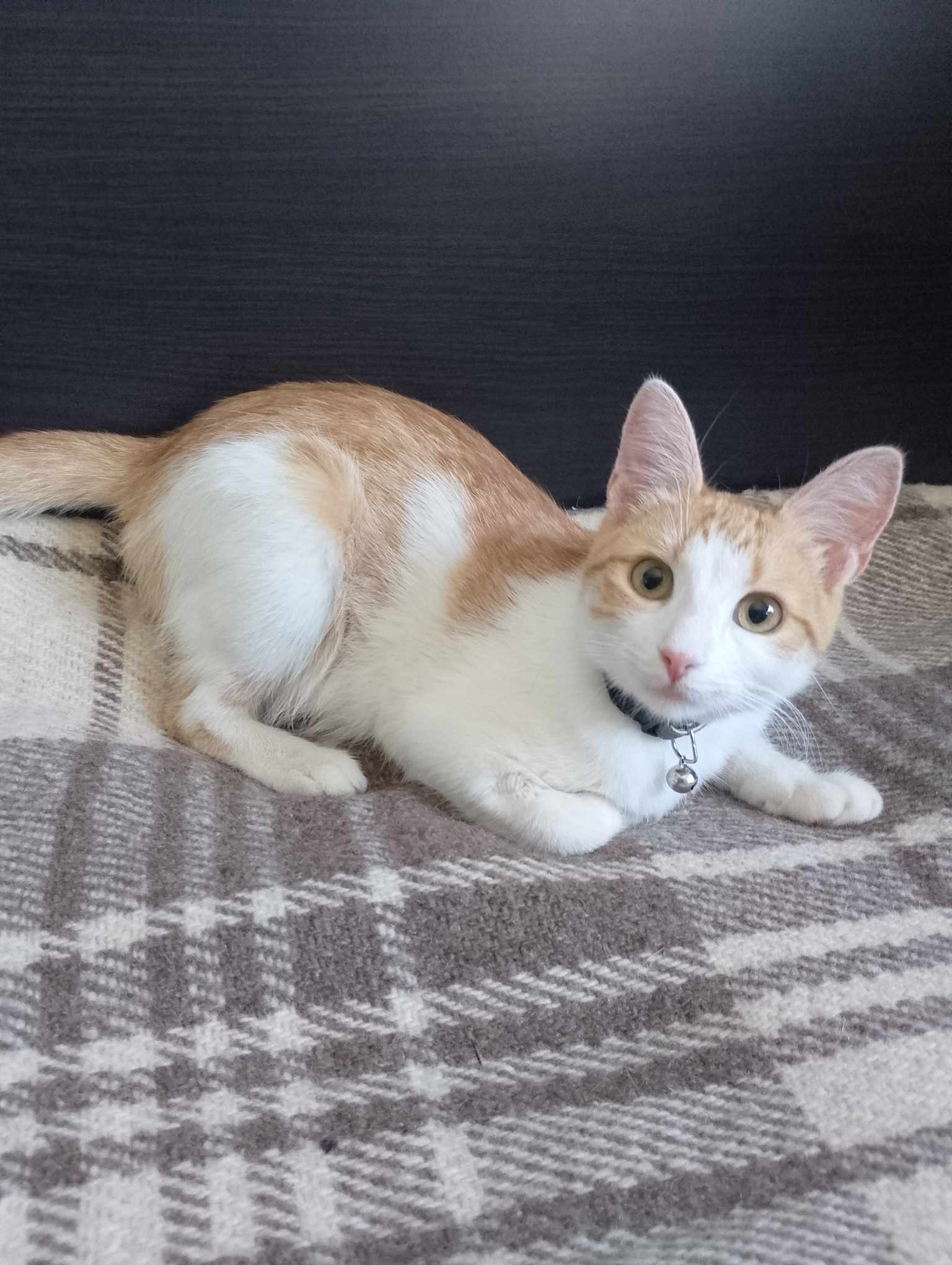 Sunny ❤️