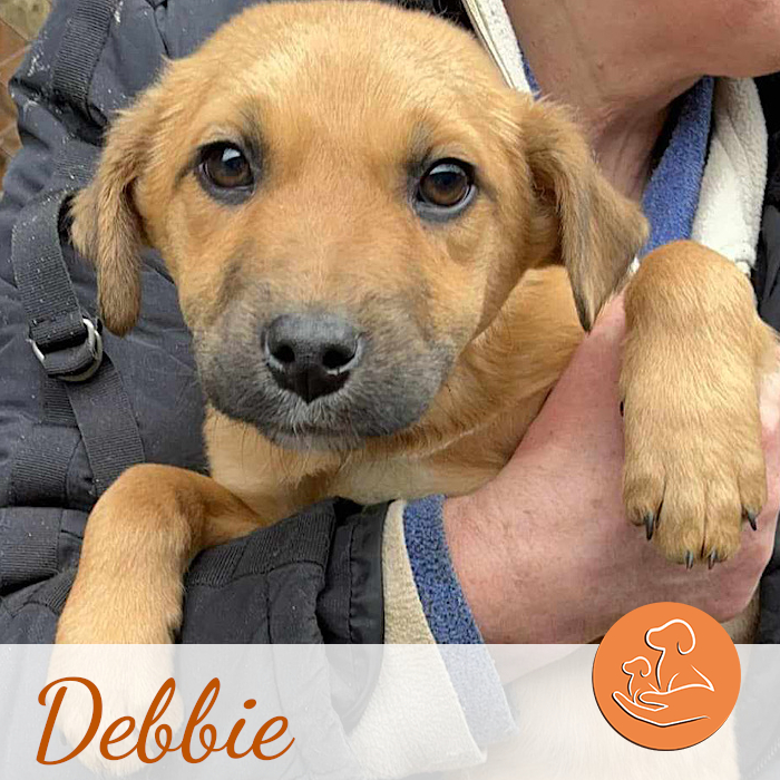 Debbie