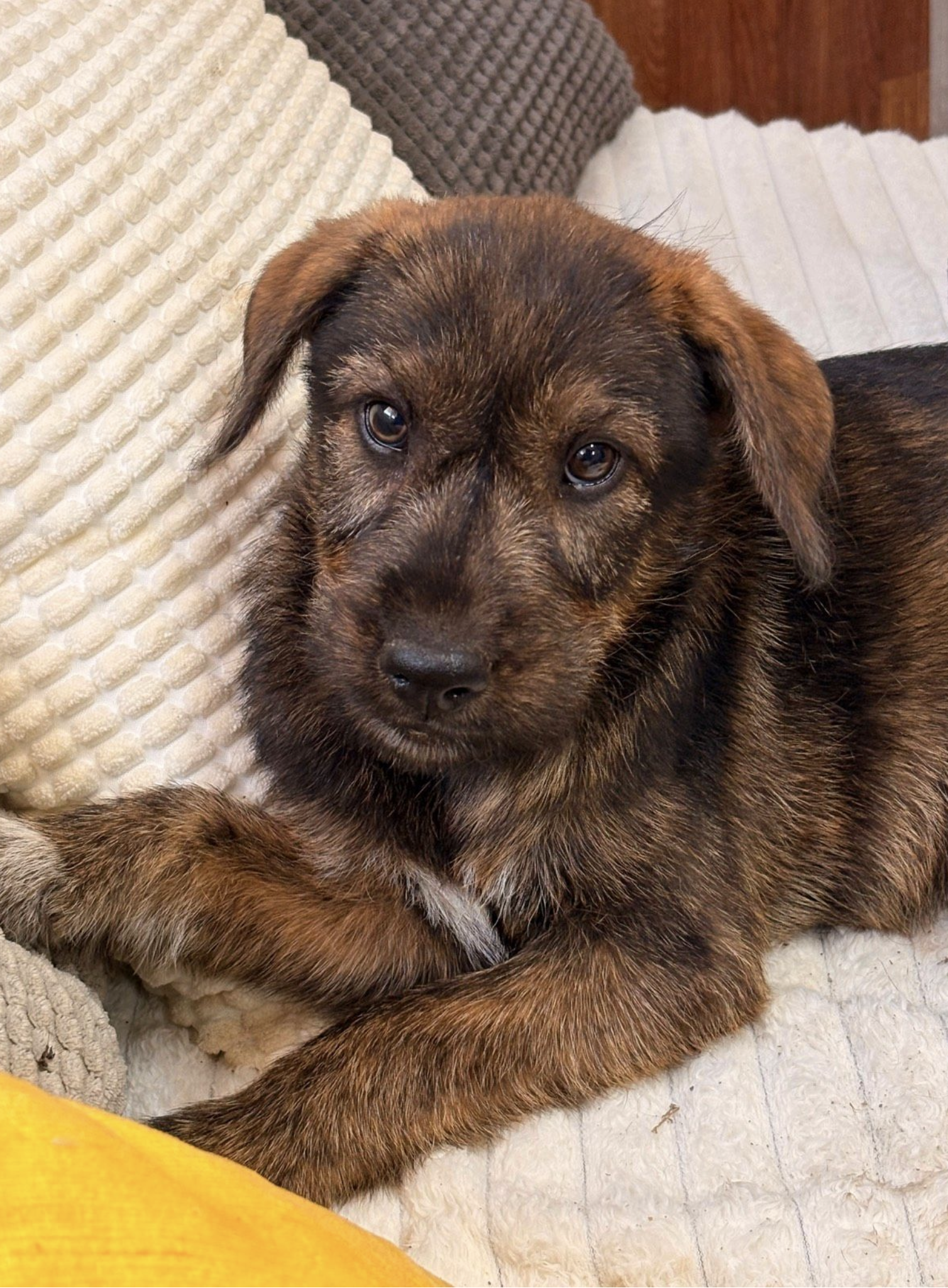 Lenny