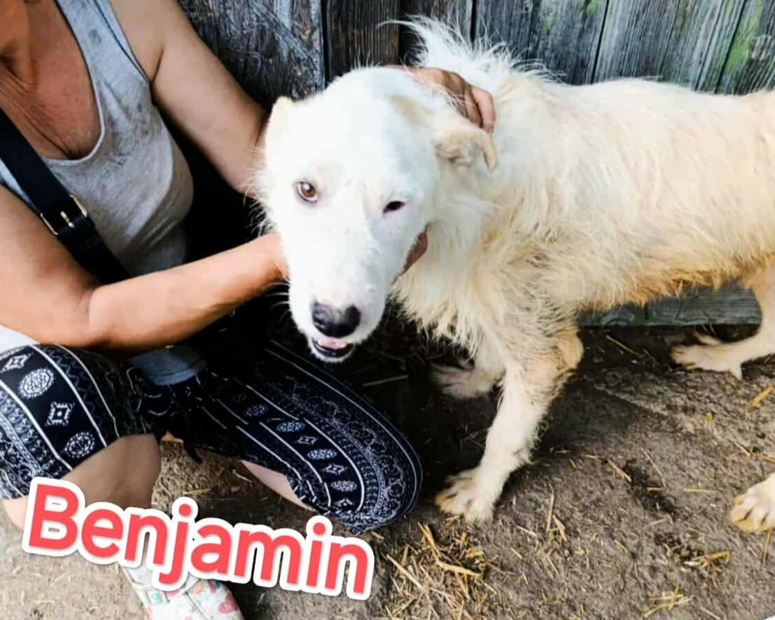 Benjamin