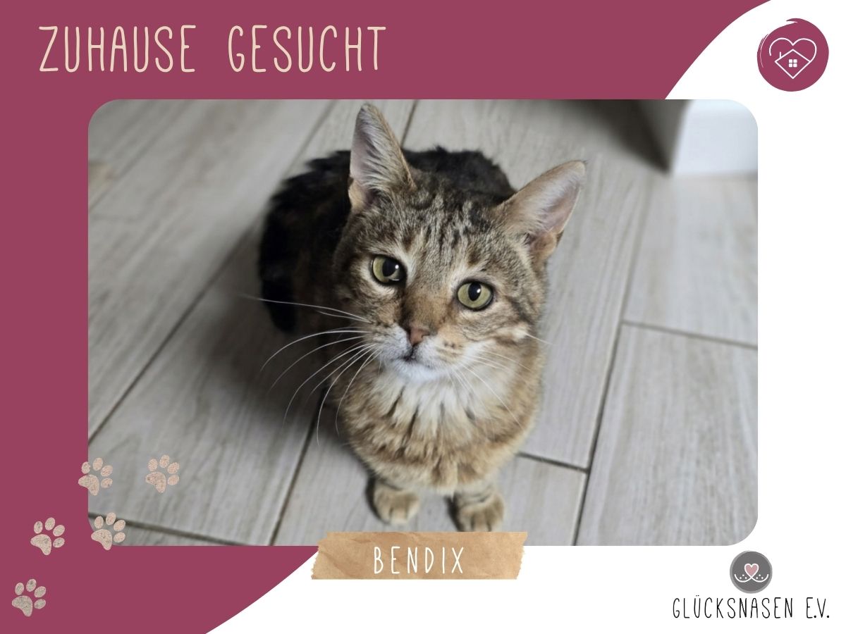 Bendix sucht seine Menschen