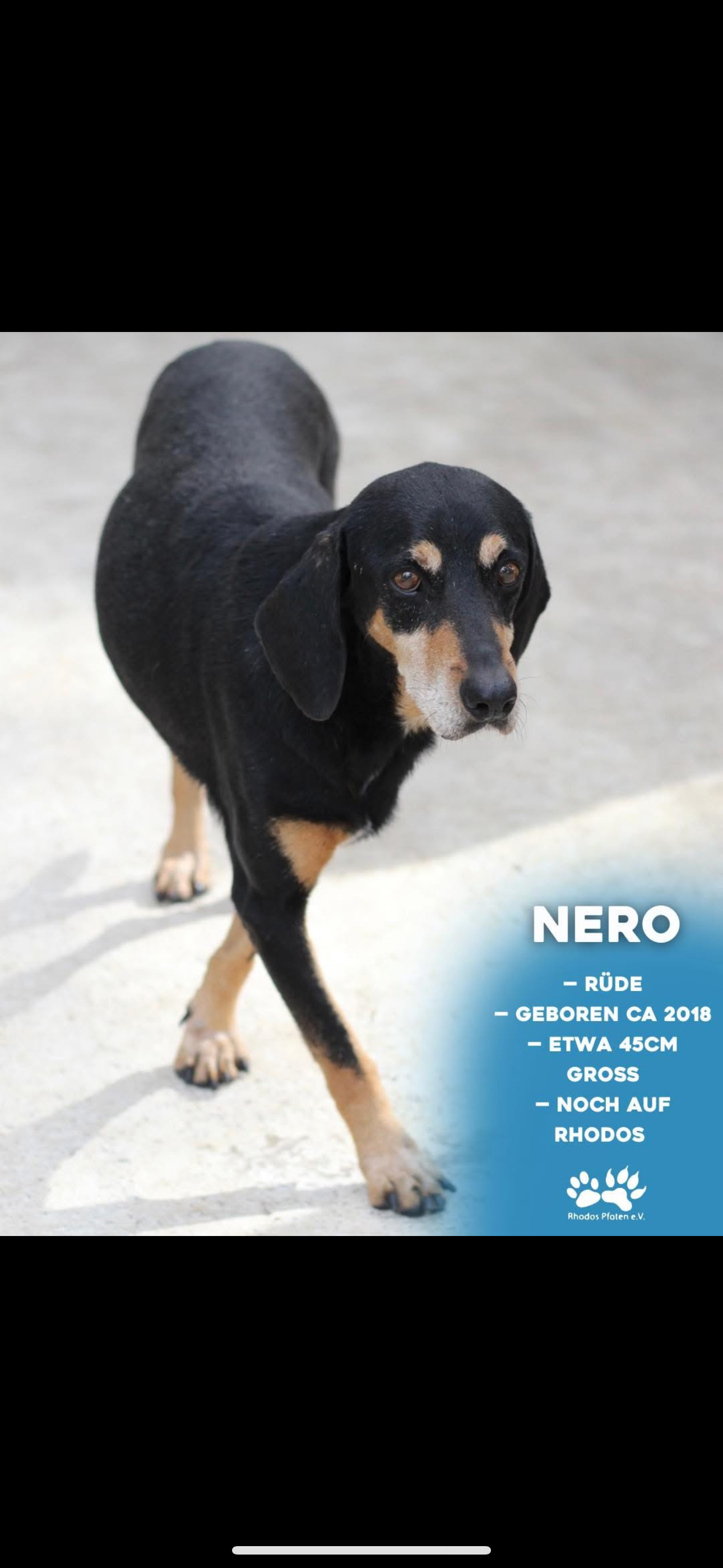 Nero