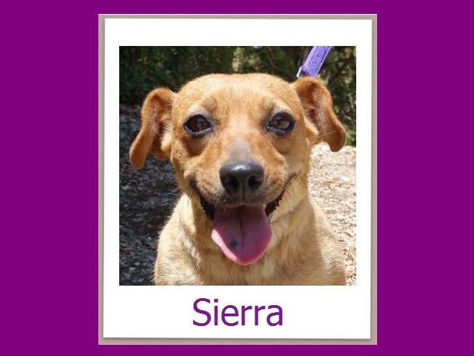 Sierra