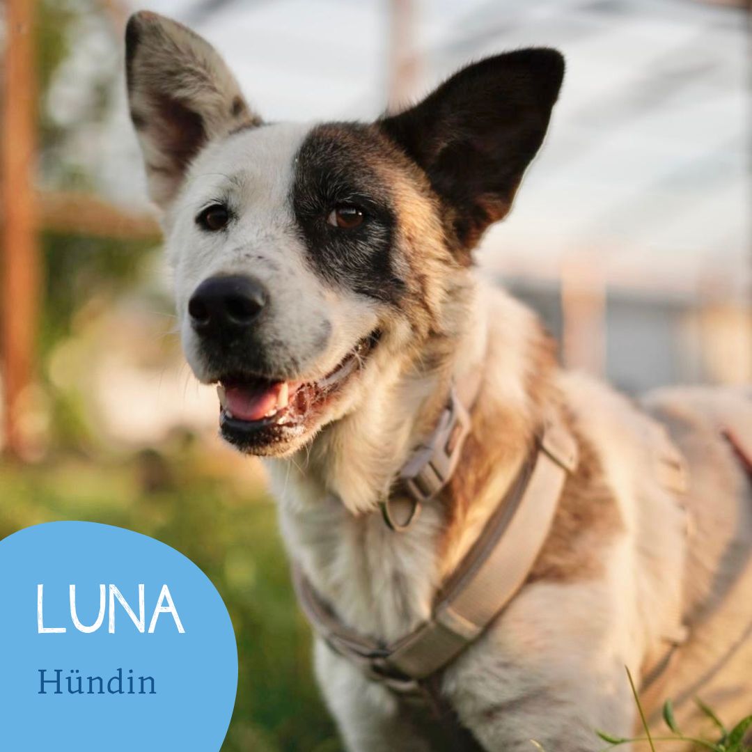 Luna