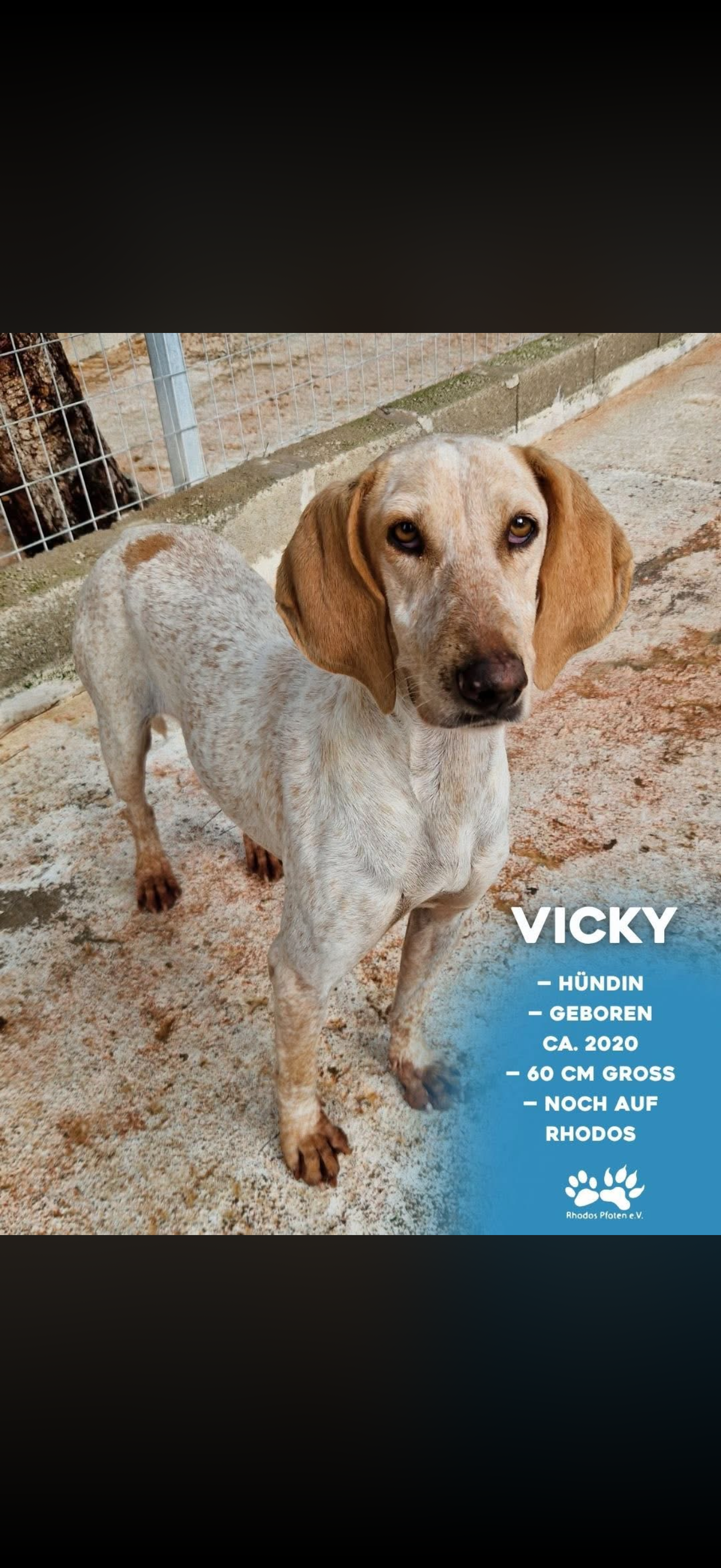 Vicky