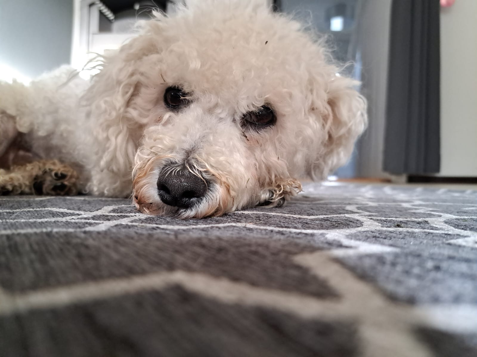Toto 2
