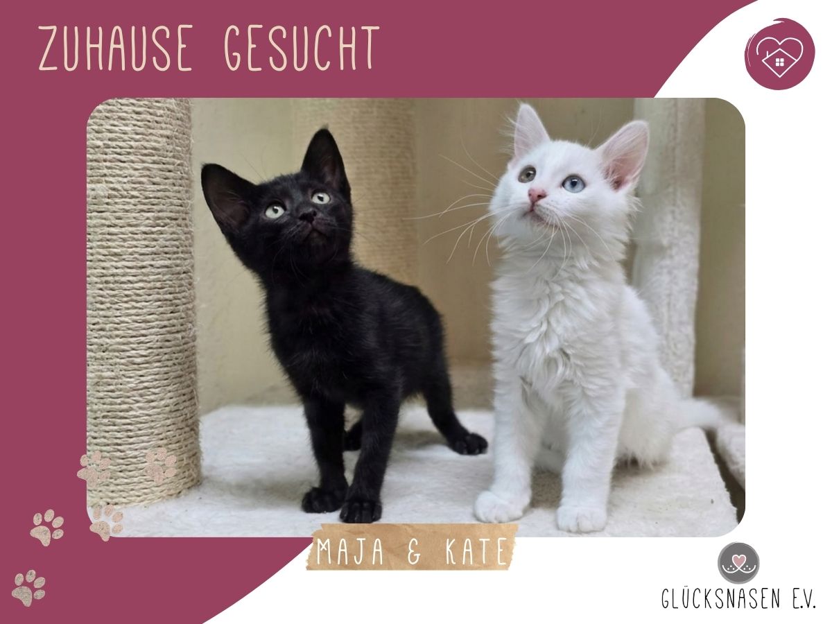 Maja und Kate sind bereit