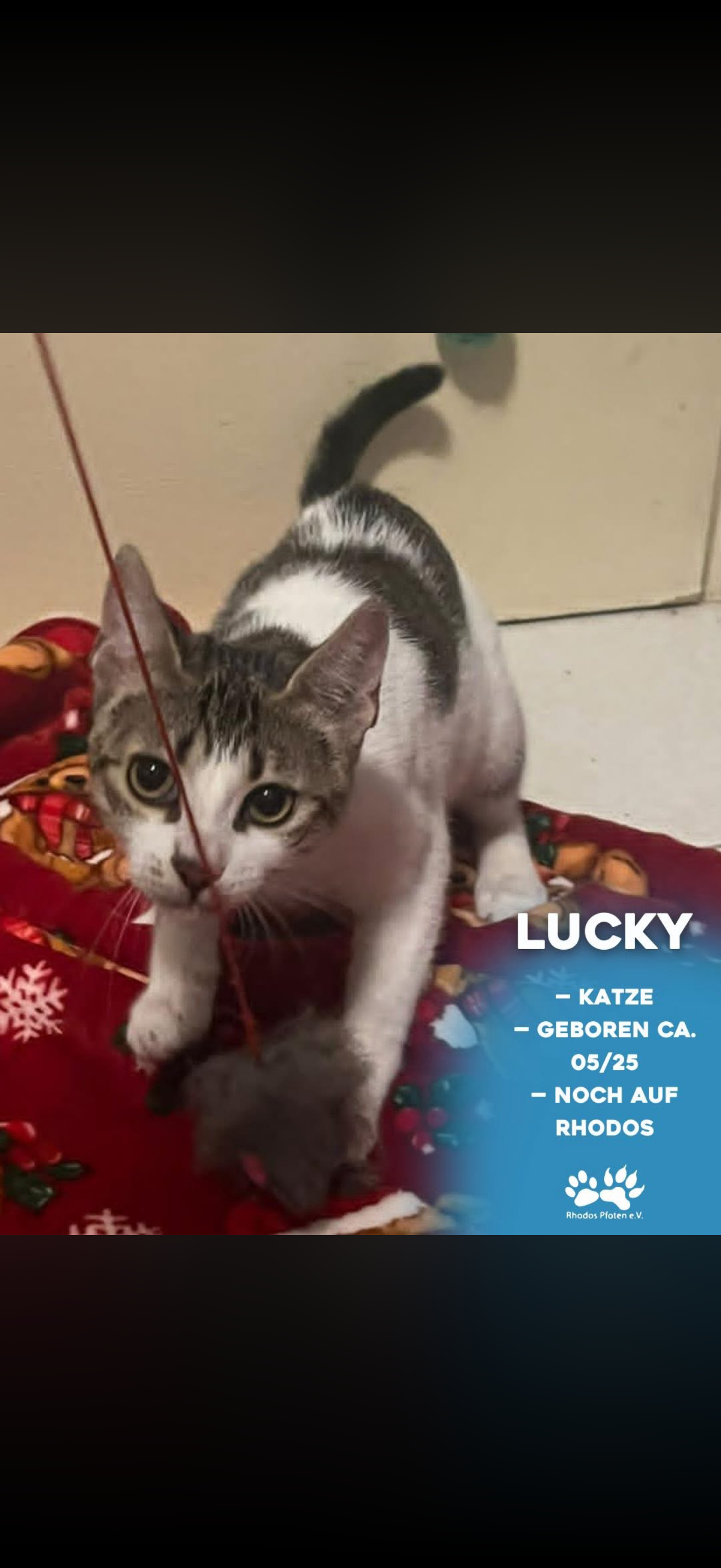 Lucky