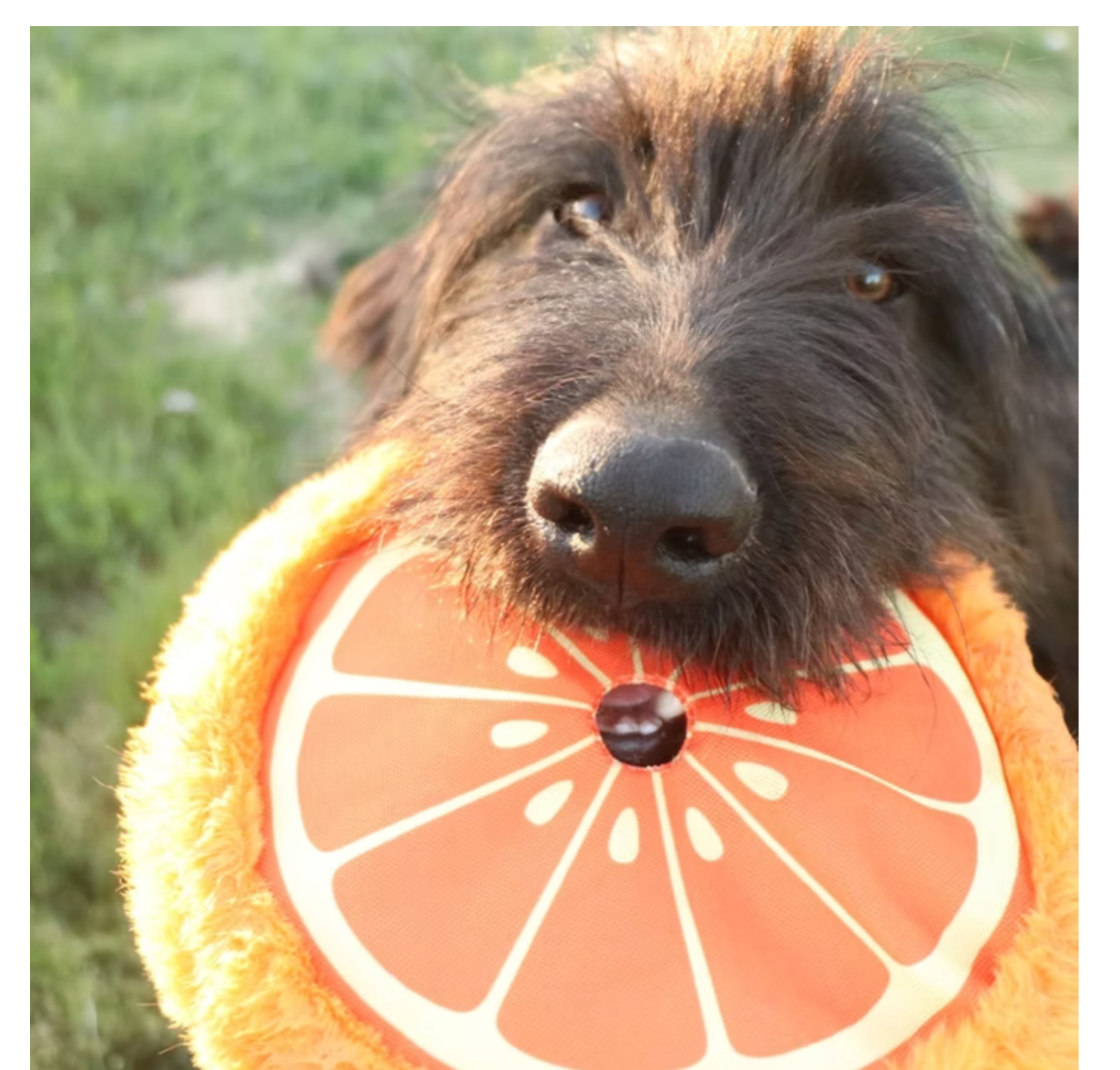 Fluffi