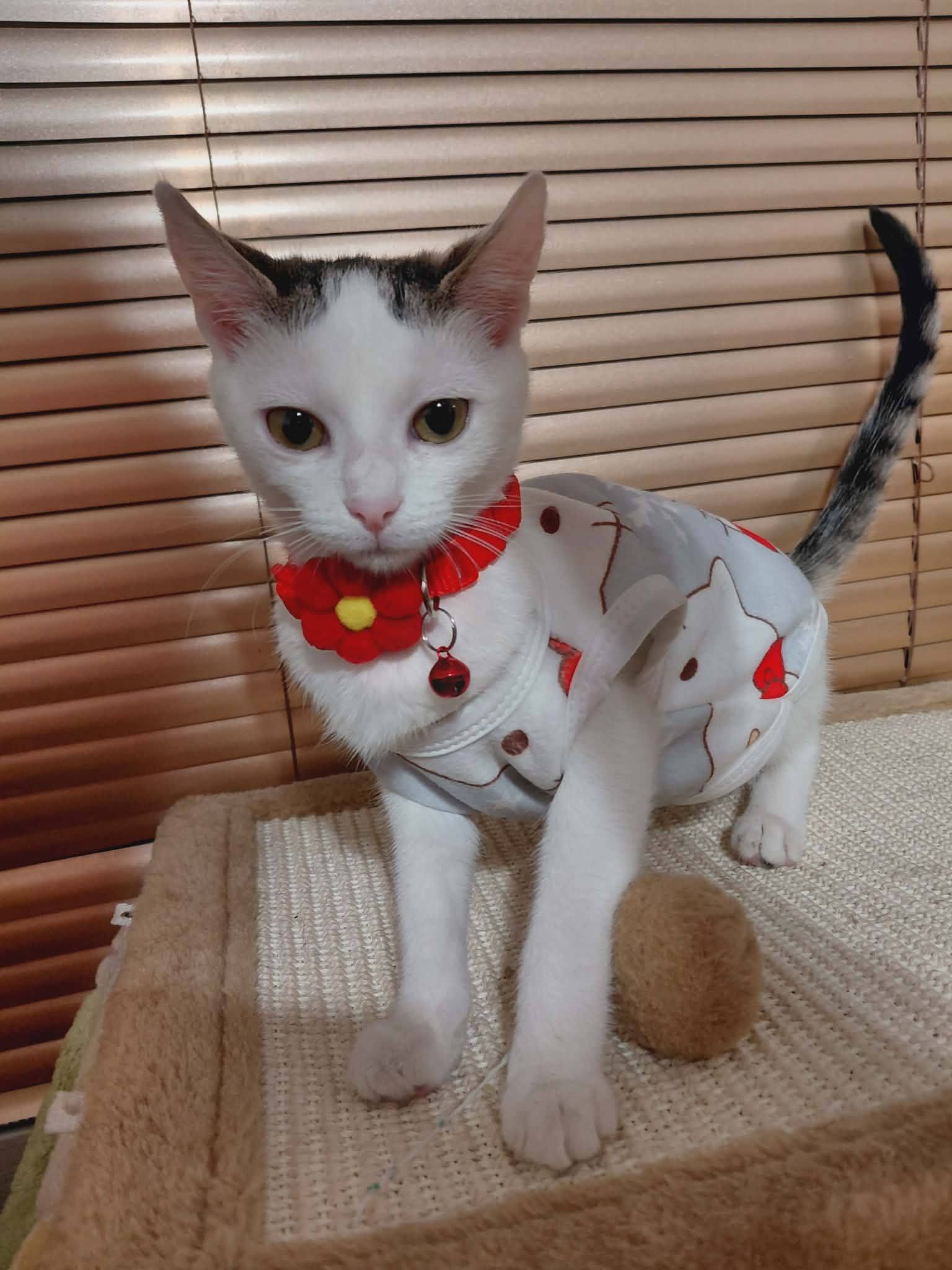 Annabella❤️