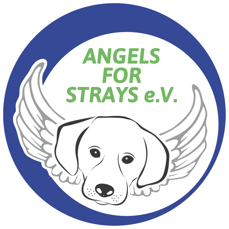 TSV Angels for Strays e.V.