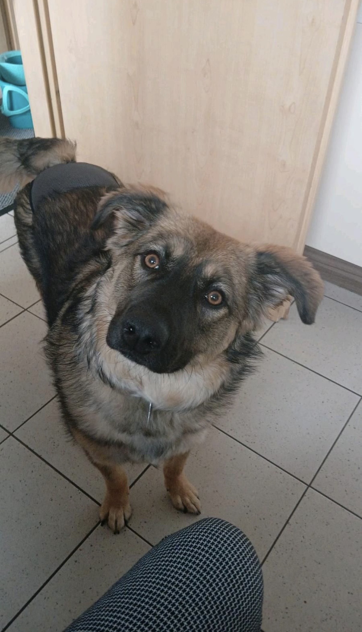 Bayana 🐾🐕