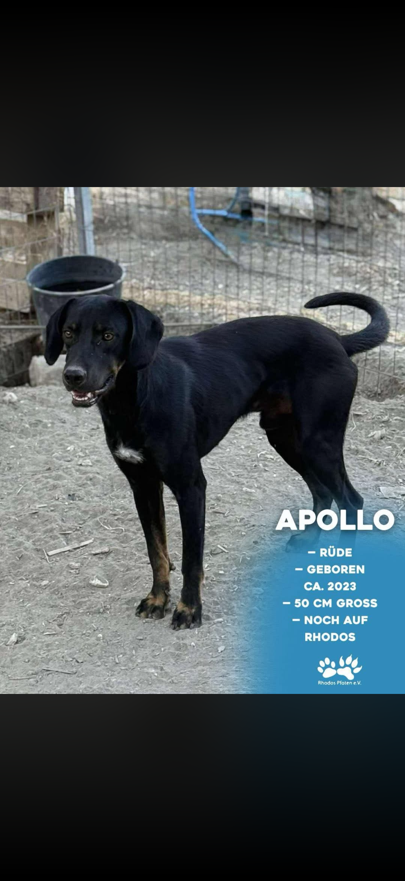 Apollo