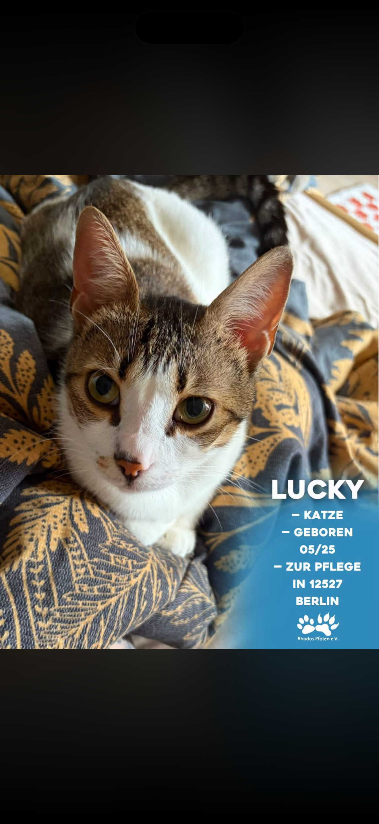 Lucky