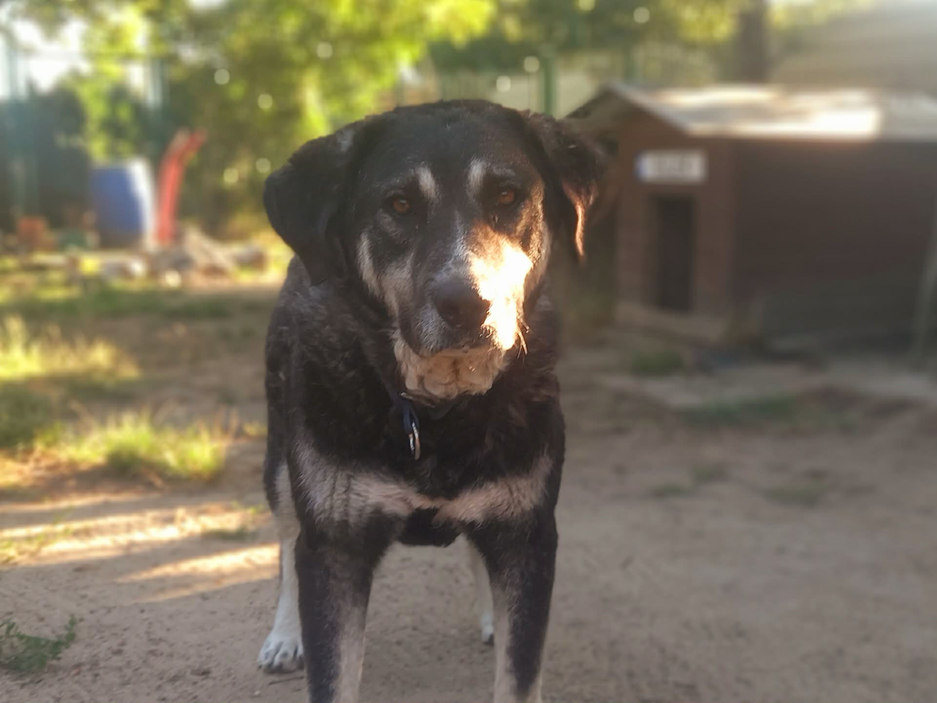 Tina