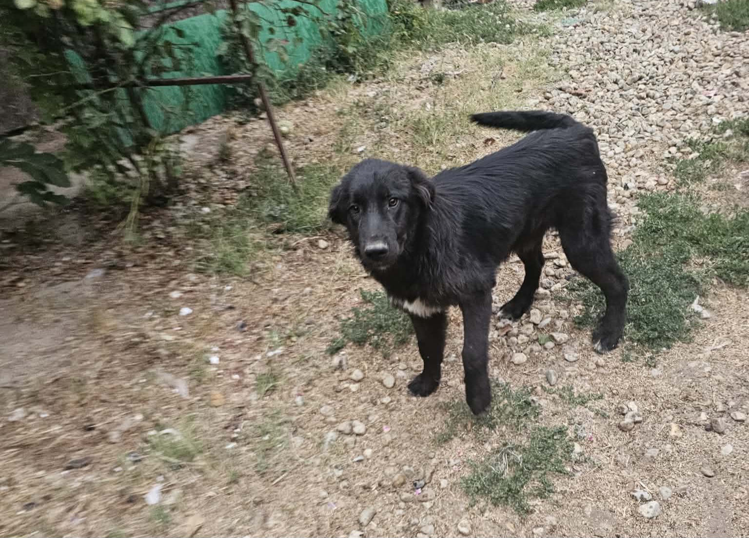 Jude