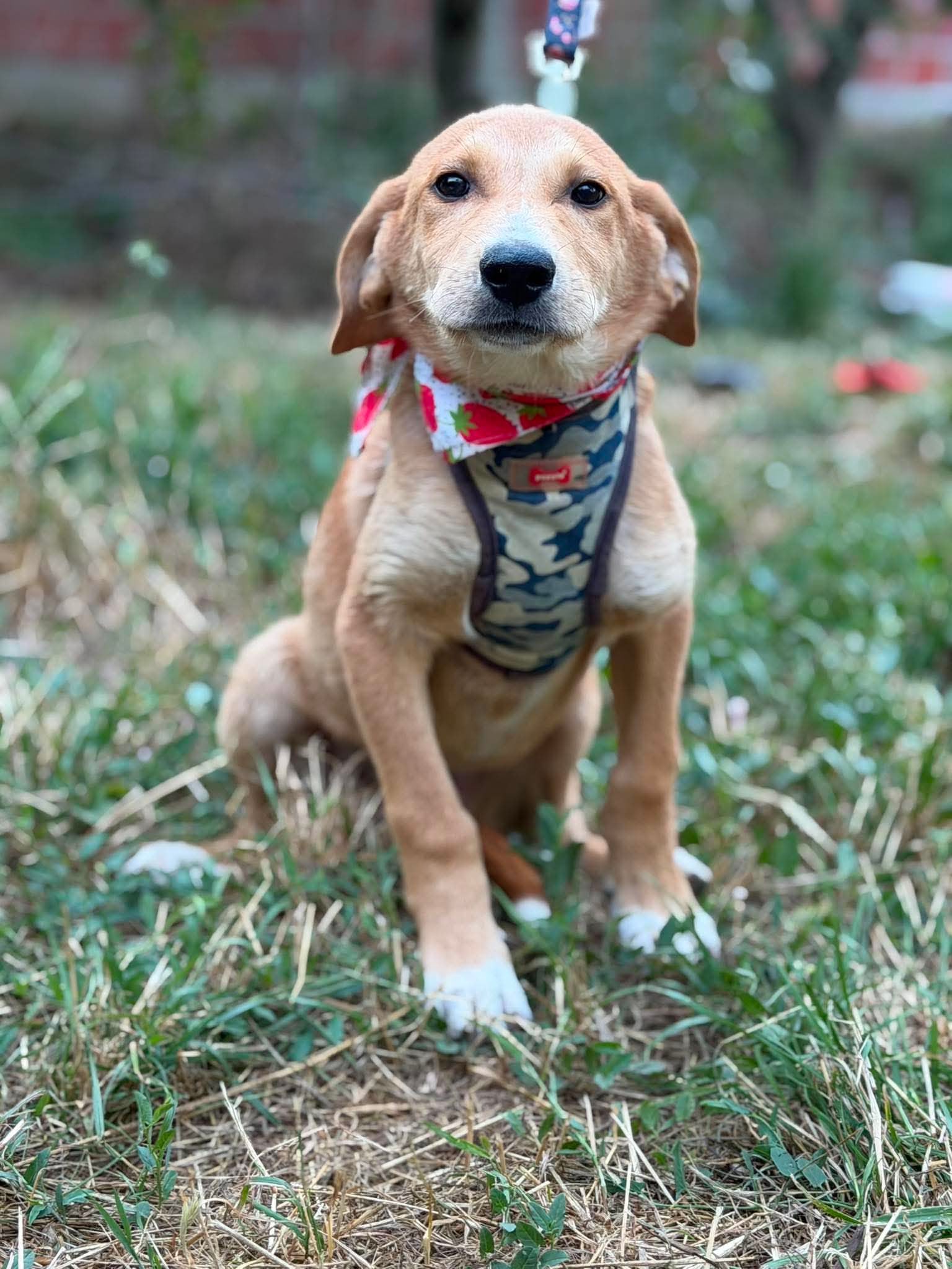 Winnie