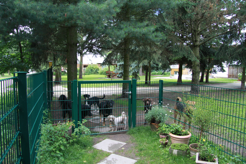 Hundepflegenest Sperlingsau