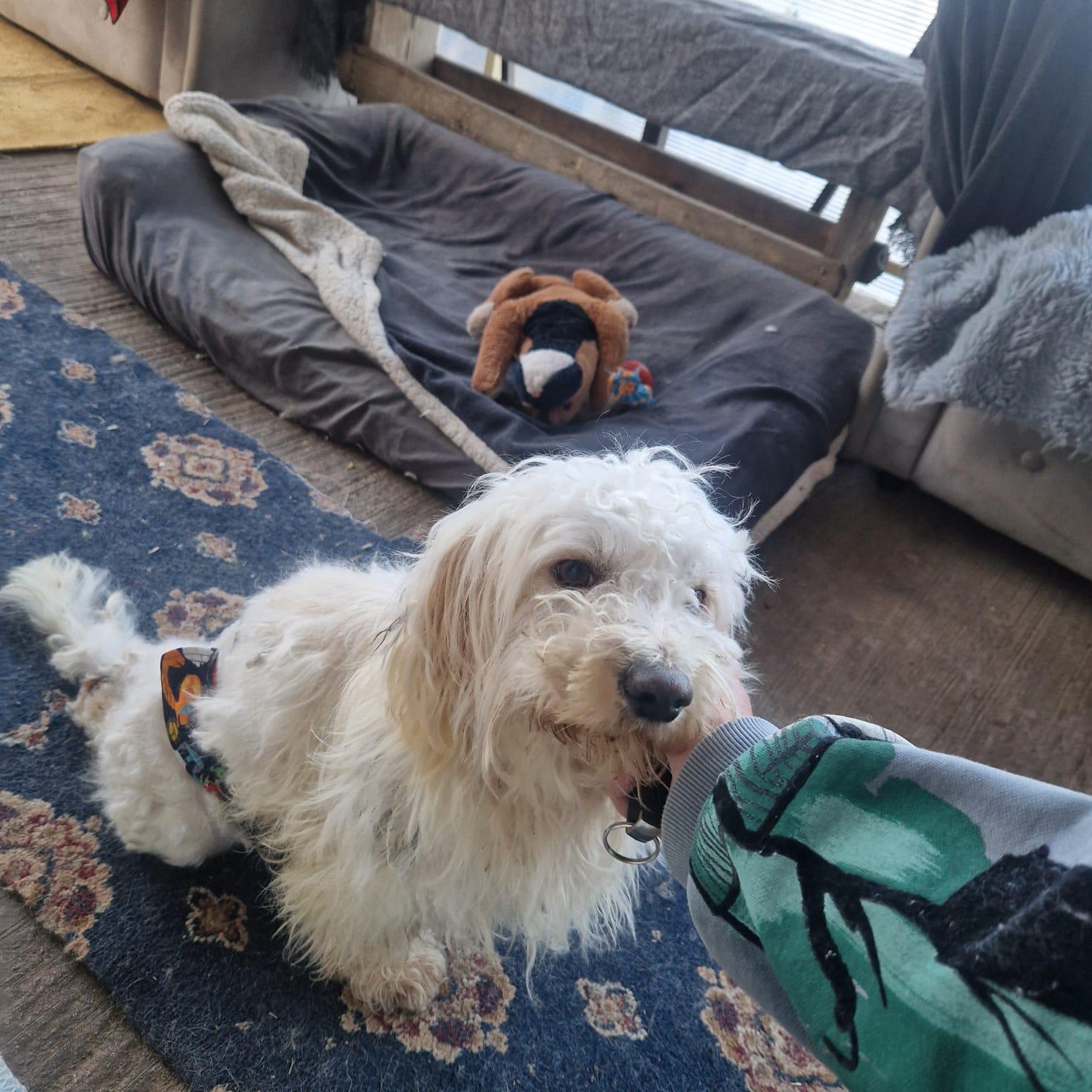 Oscar