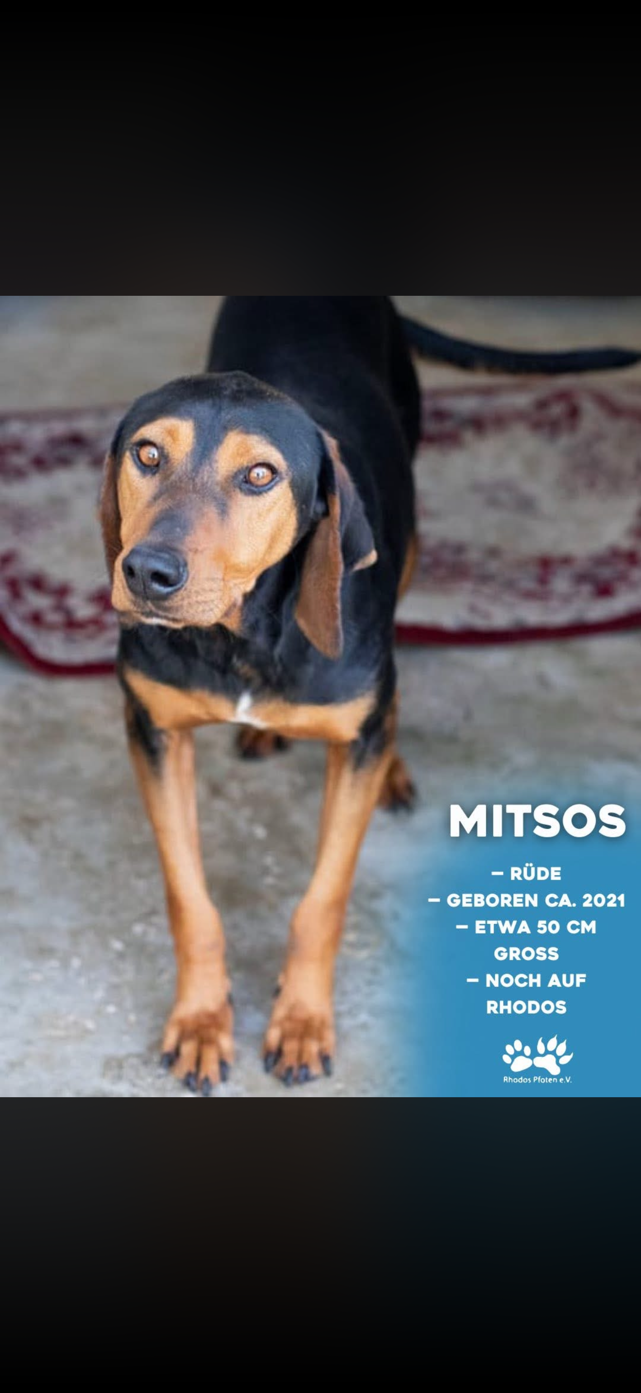 Mitsos