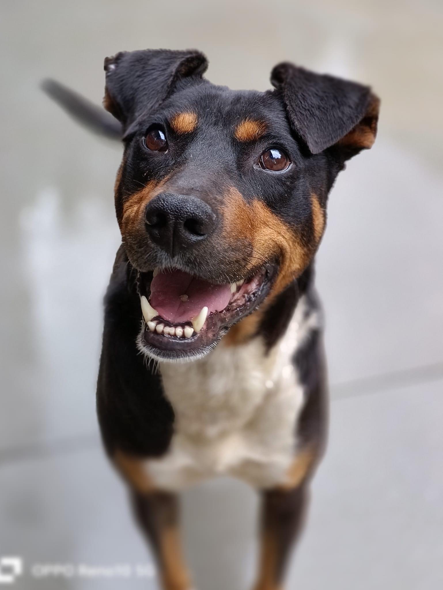 REX 💙