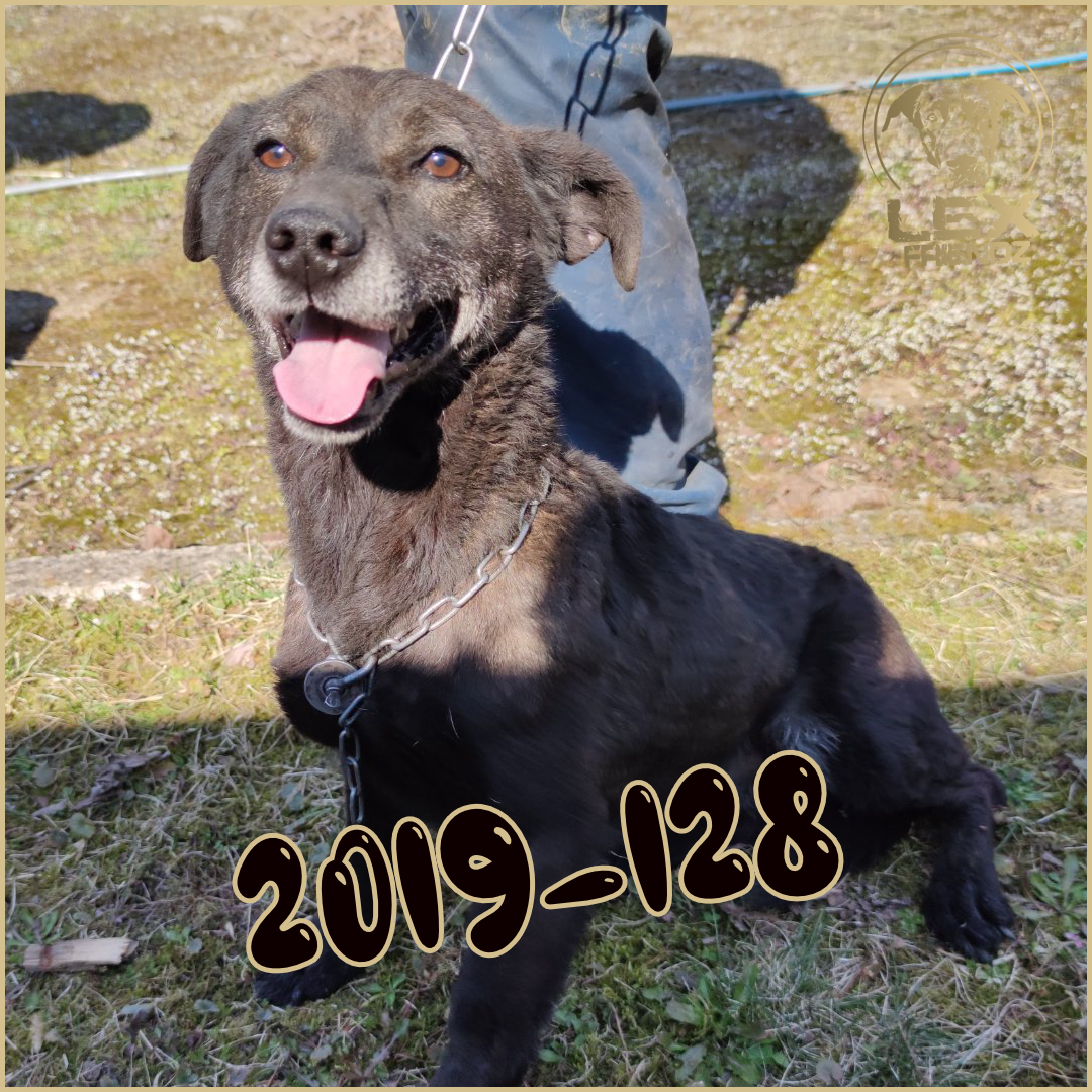 2019-128