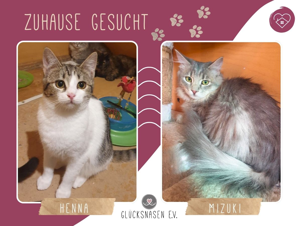 Henna und Mizuki warten