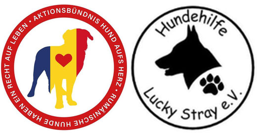 Hundehilfe Lucky Stray e.V.
