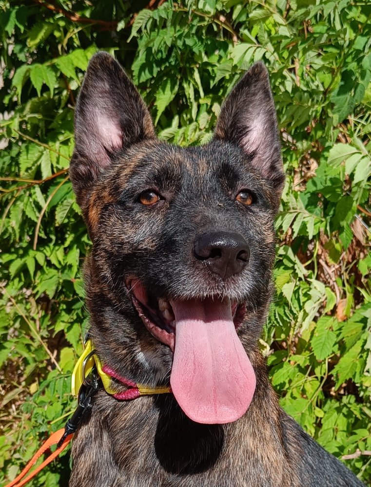 Xena