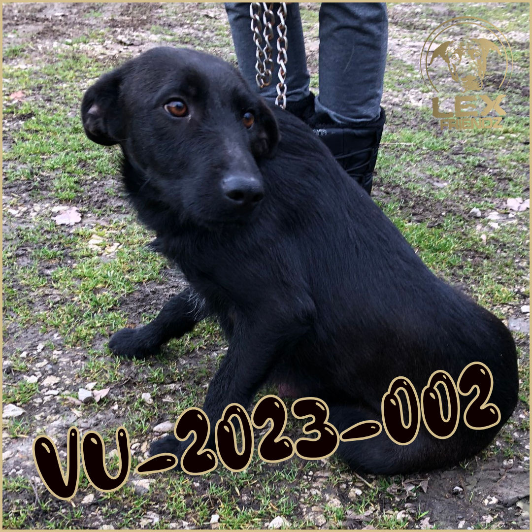 VU-2023-002