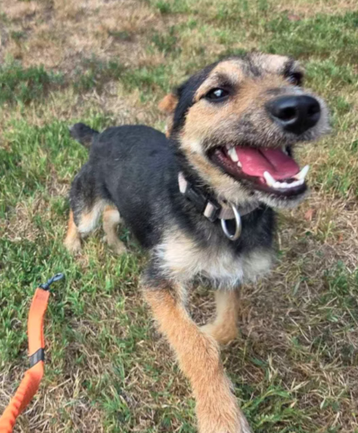 Zozi