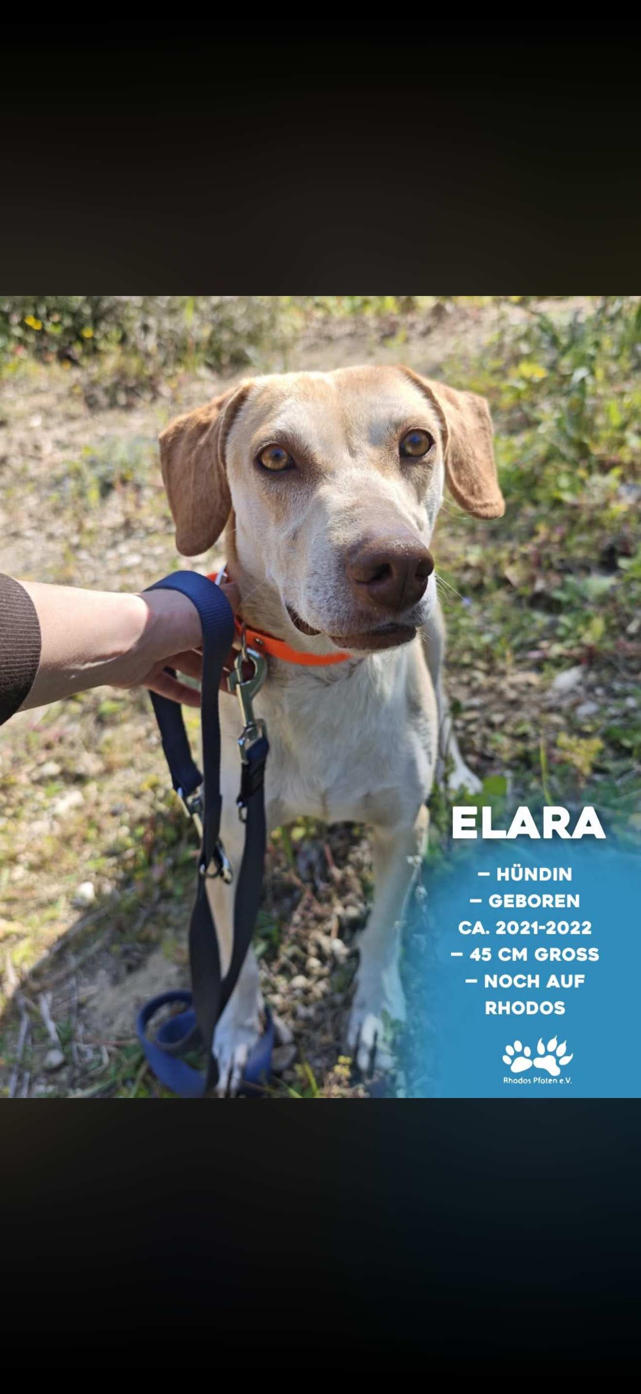 Elara