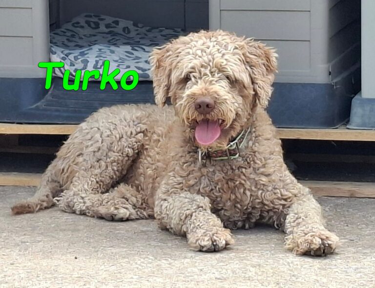 Turko