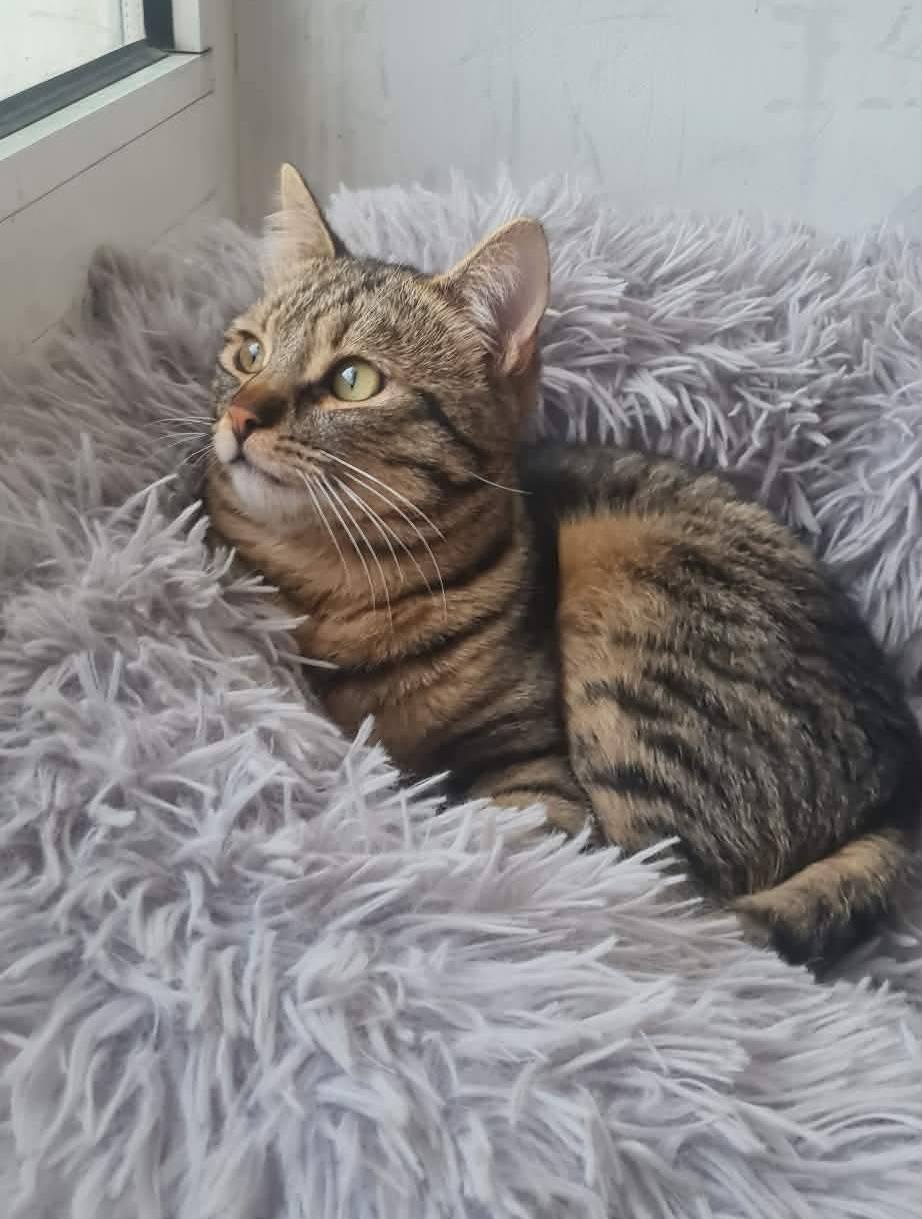 Tiko ❤️