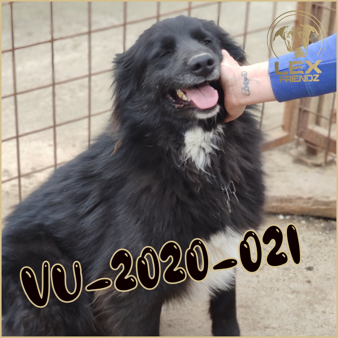VU-2020-021