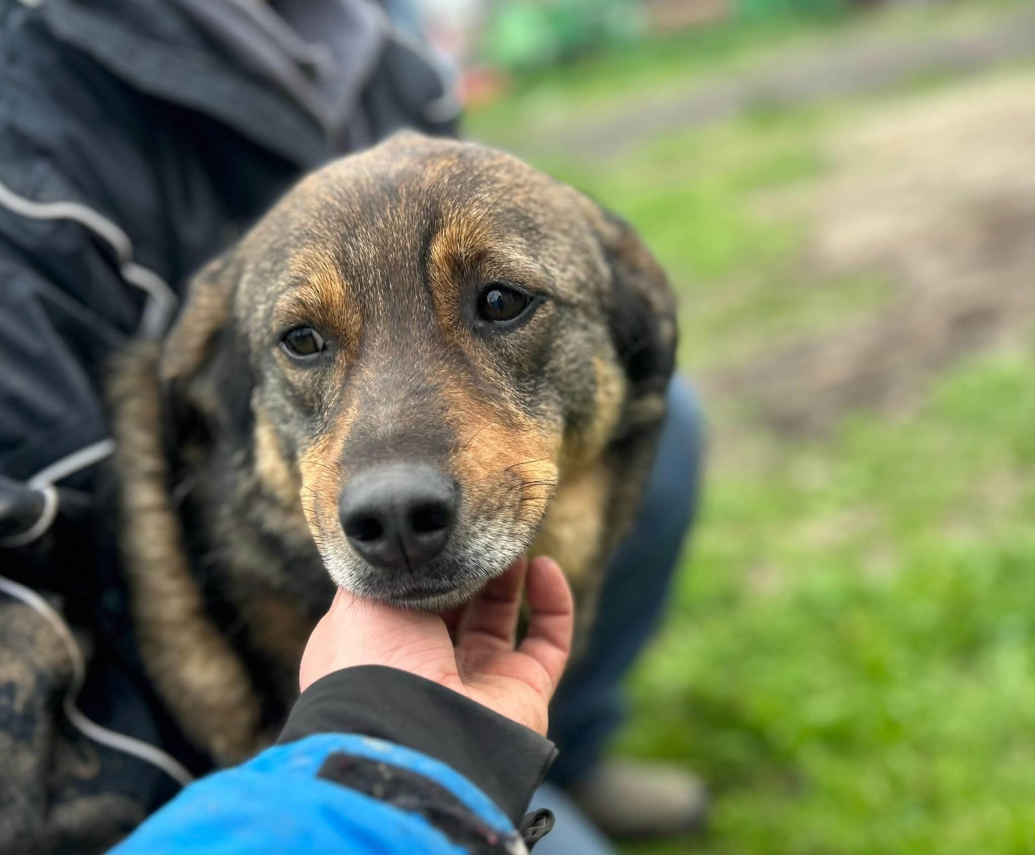 Bastian🐾freudig & neugierig